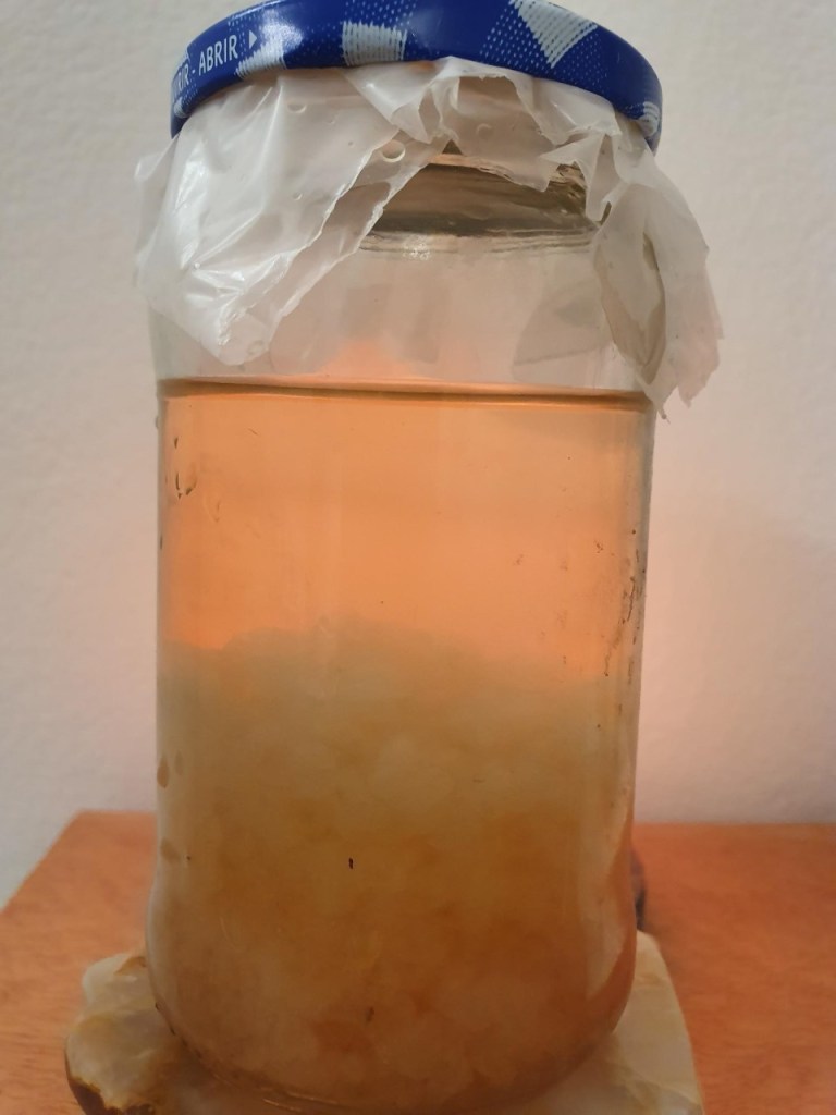 La imagen tiene un atributo ALT vacío; su nombre de archivo es kefir-3.jpg